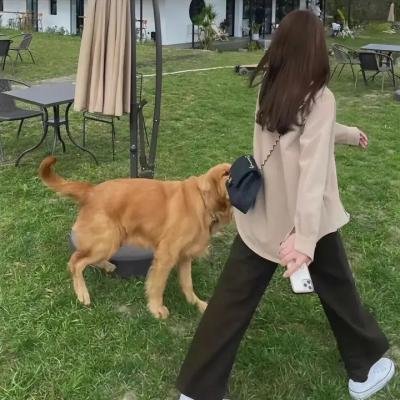 我的老板为何那样